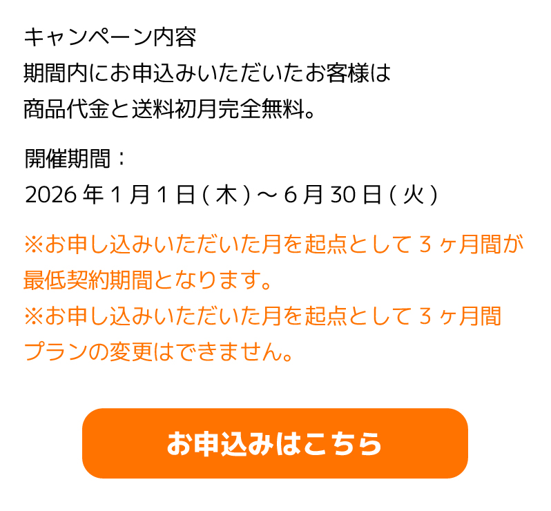 キャンペーン期間