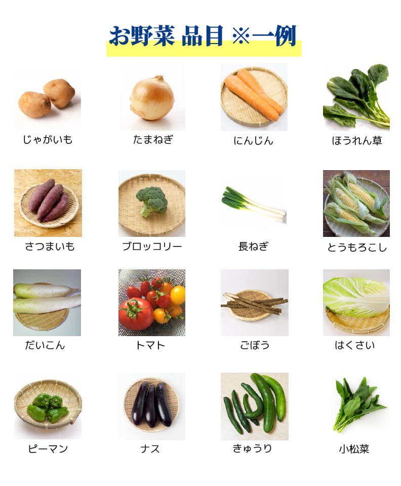 お野菜の品目例