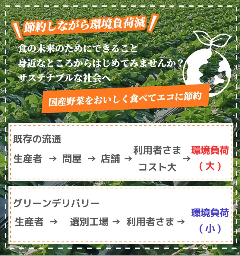 国産野菜をおいしく食べてエコに節約